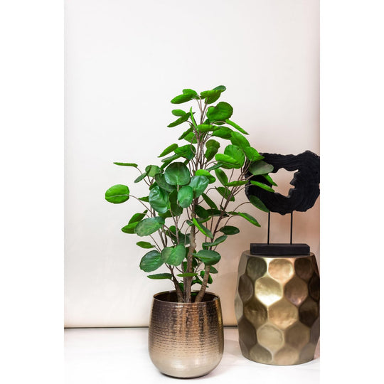 Kunstplant - Polyscias - Aralia - 105 cm