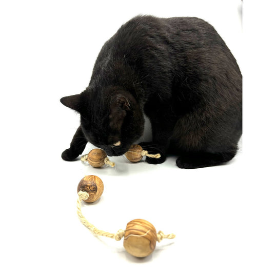 Speelballen van olijfhout met sisal voor kleine honden of katten