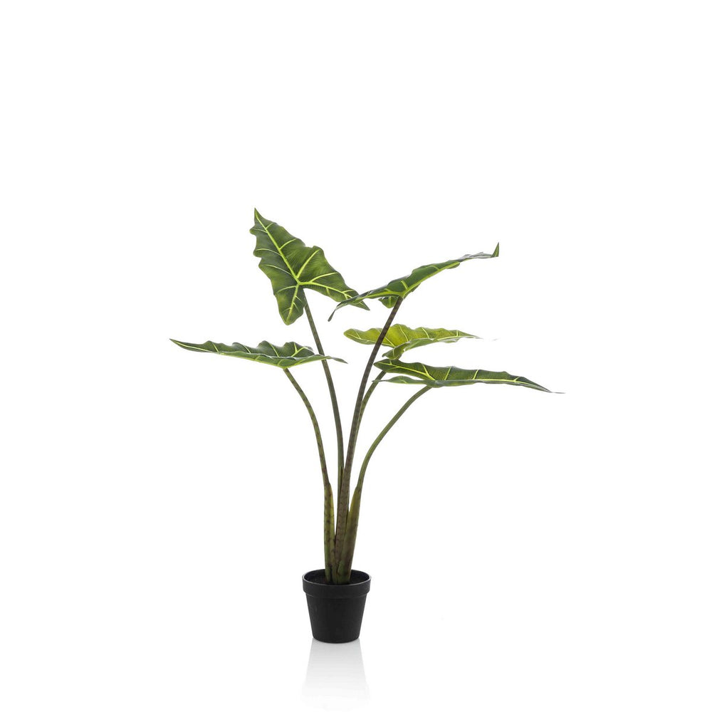 Kunstplant - Alocasia Frydek - Olifantsoor - 80 cm