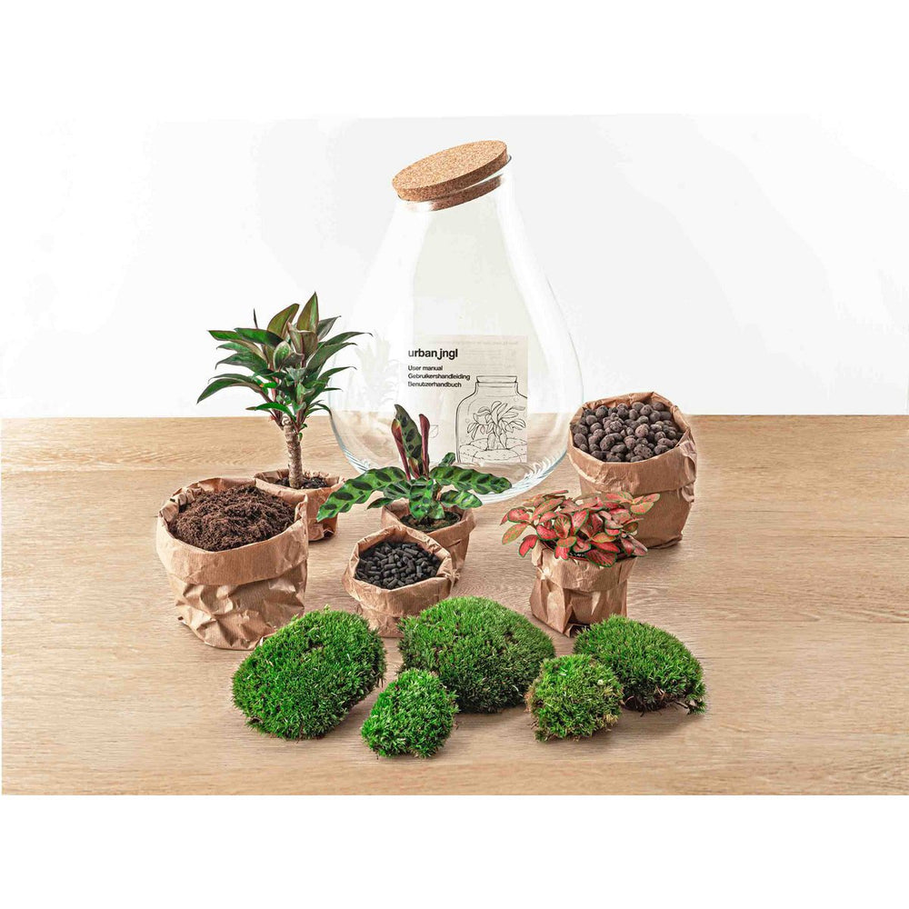 Terrarium DIY Kit - Drop XL Palm - Flessentuin - ↑ 37 cm