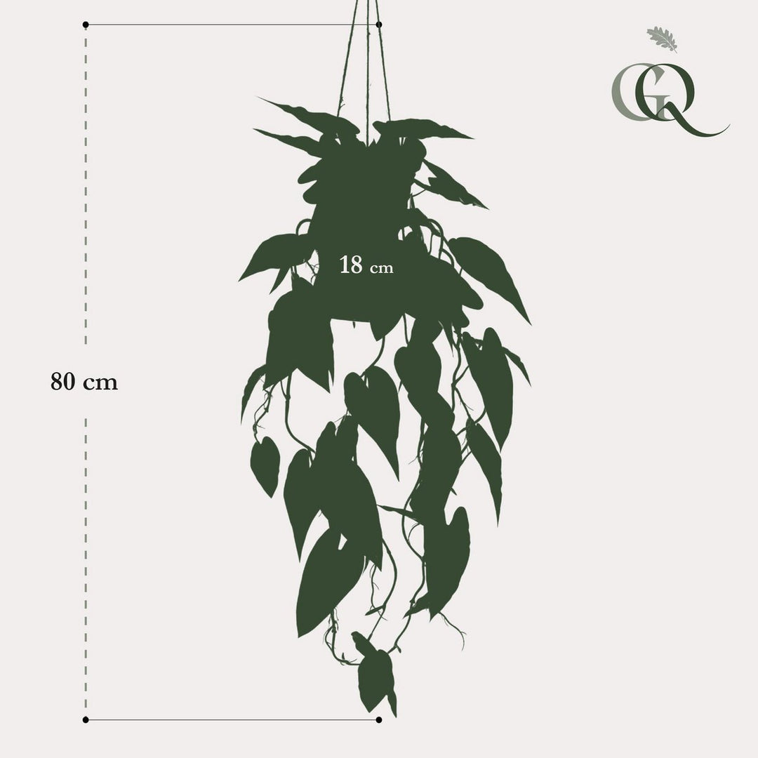 Kunstplant - Alocasia - Olifantsoor - 80 cm