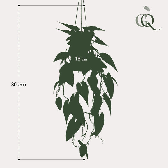 Kunstplant - Alocasia - Olifantsoor - 80 cm