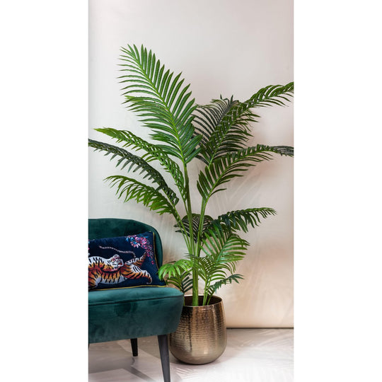 Kunstplant - Howea Forsteriana  - 160 cm