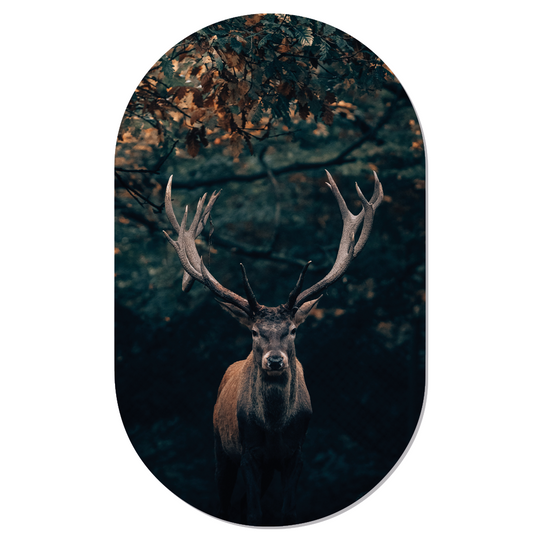 Muurovaal dark deer