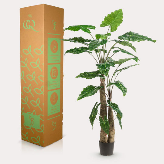 Kunstplant - Alocasia - Olifantsoor - 180 cm