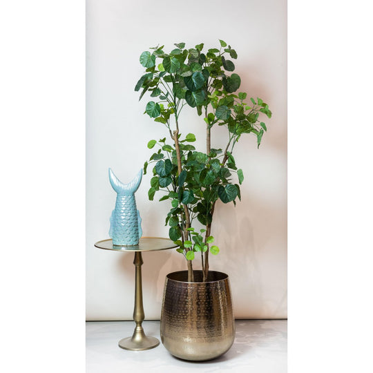 Kunstplant - Polyscias - Aralia - 160 cm