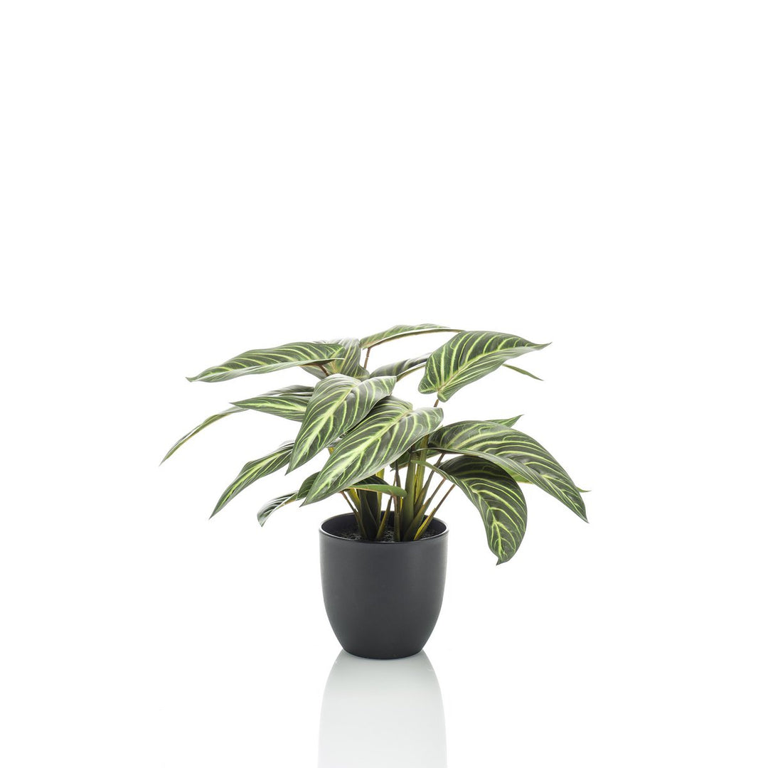 Kunstplant - Calathea Zebrina - Schaduwplant - 38 cm