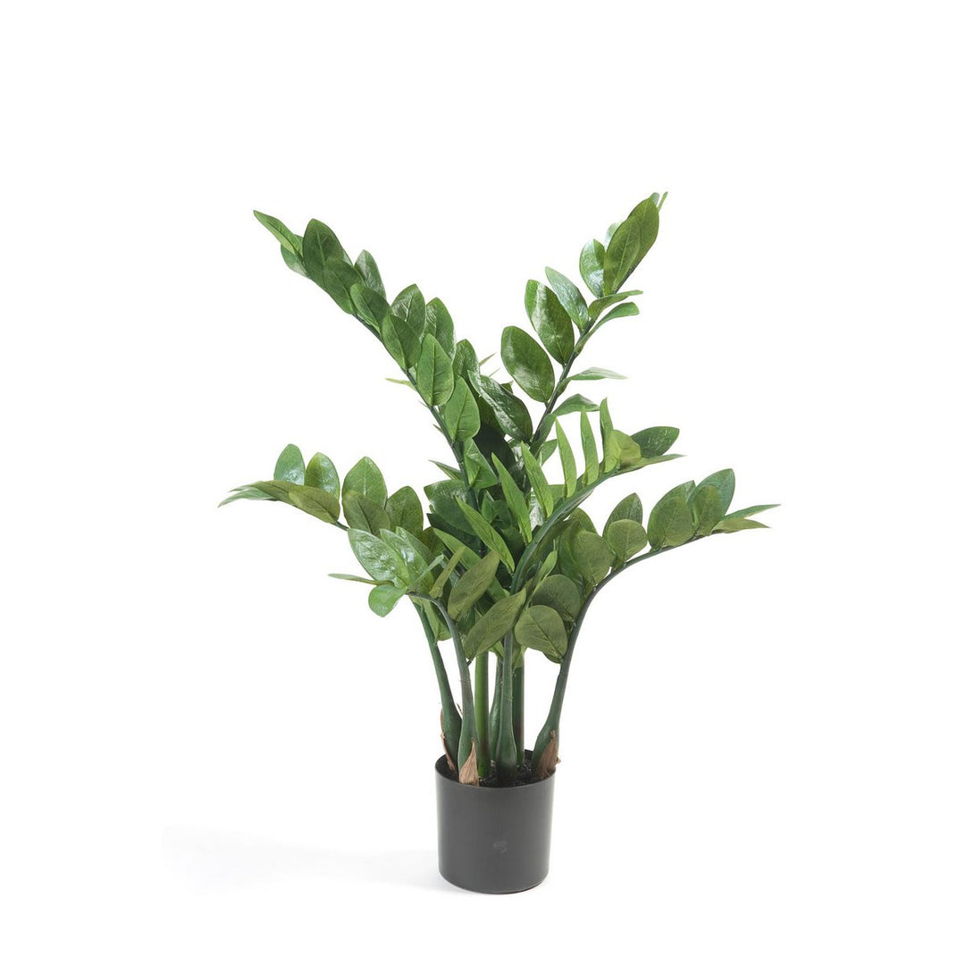 Kunstplant - Zamioculcas - Kamerpalm - 70 cm