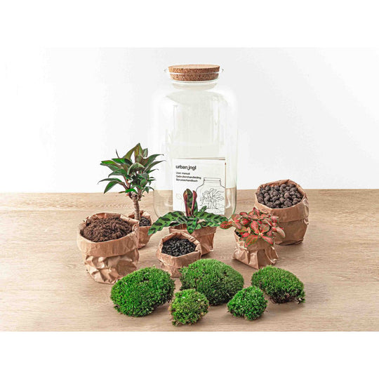 Terrarium DIY Kit - Sven Palm - Flessentuin - ↑ 43 cm