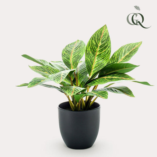 Kunstplant - Croton Codiaeum - Wonderstruik - 38 cm