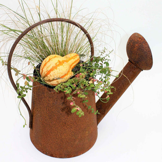 Decoratieve gieter in patina | 3D roestdecoratie voor beplanting