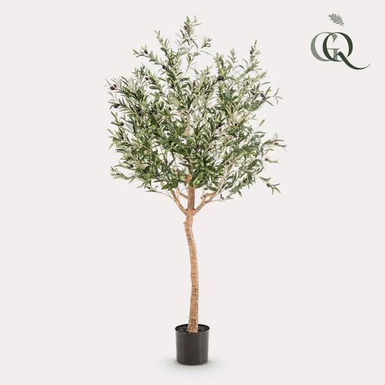 Kunst Olijfboom -  Olea europaea - Olijfboom - 180 cm