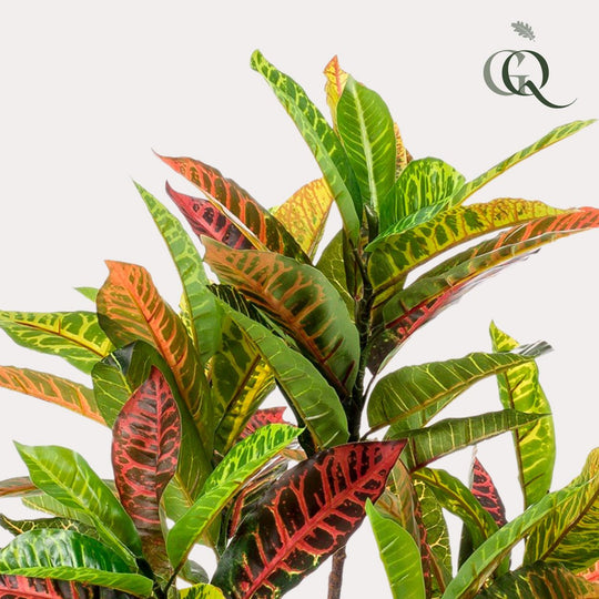 Kunstplant - Croton Codiaeum - Wonderstruik - 100 cm