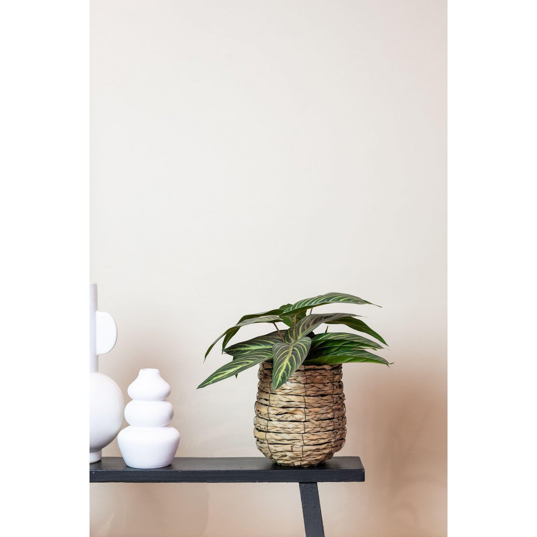 Kunstplant - Calathea Zebrina - Schaduwplant - 38 cm