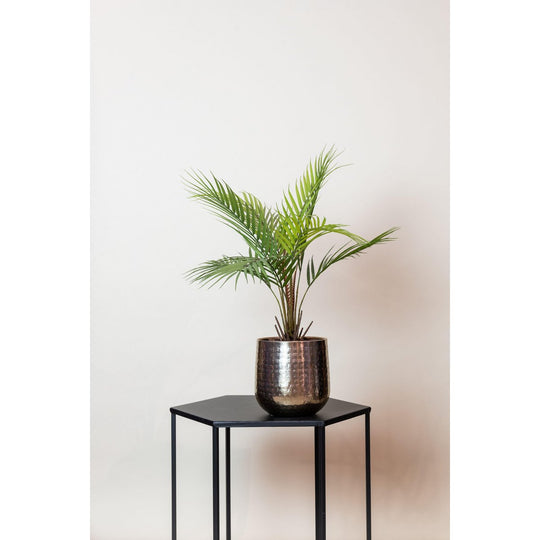 Kunstplant - Chamaedorea - Bergpalm - 50 cm