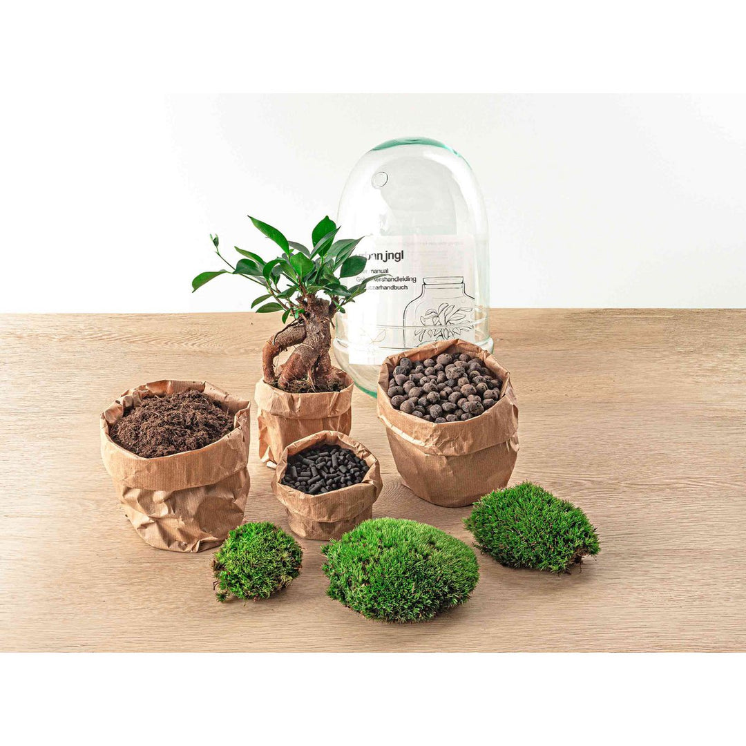 Terrarium DIY Kit - Ei XL Bonsai - Flessentuin - ↑ 30 cm