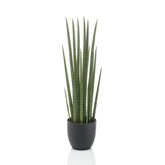 Kunstplant - Sanseveria Cylindrica - Vrouwentong - 70 cm