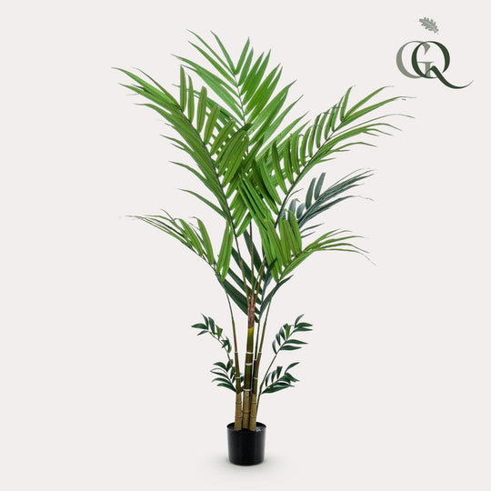 Kunstplant - Kentia -Kentiapalm - 180 cm