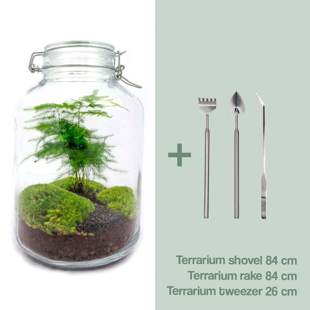 Pot Terrarium Kit - Asperges - Flessentuin - ↑ 28 cm