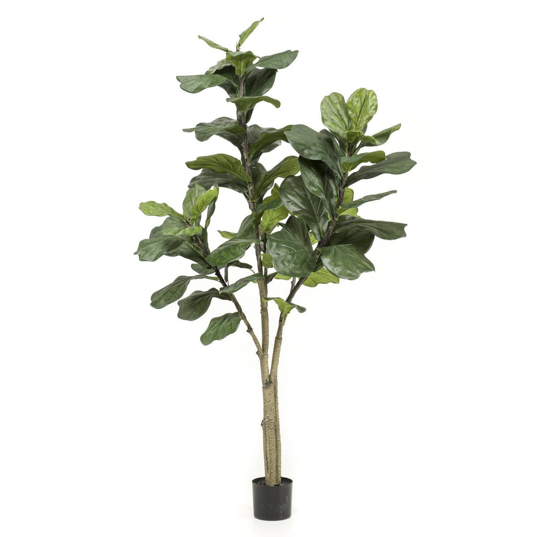 Kunstplant - Ficus Lyrata - Tabaksplant - 180 cm