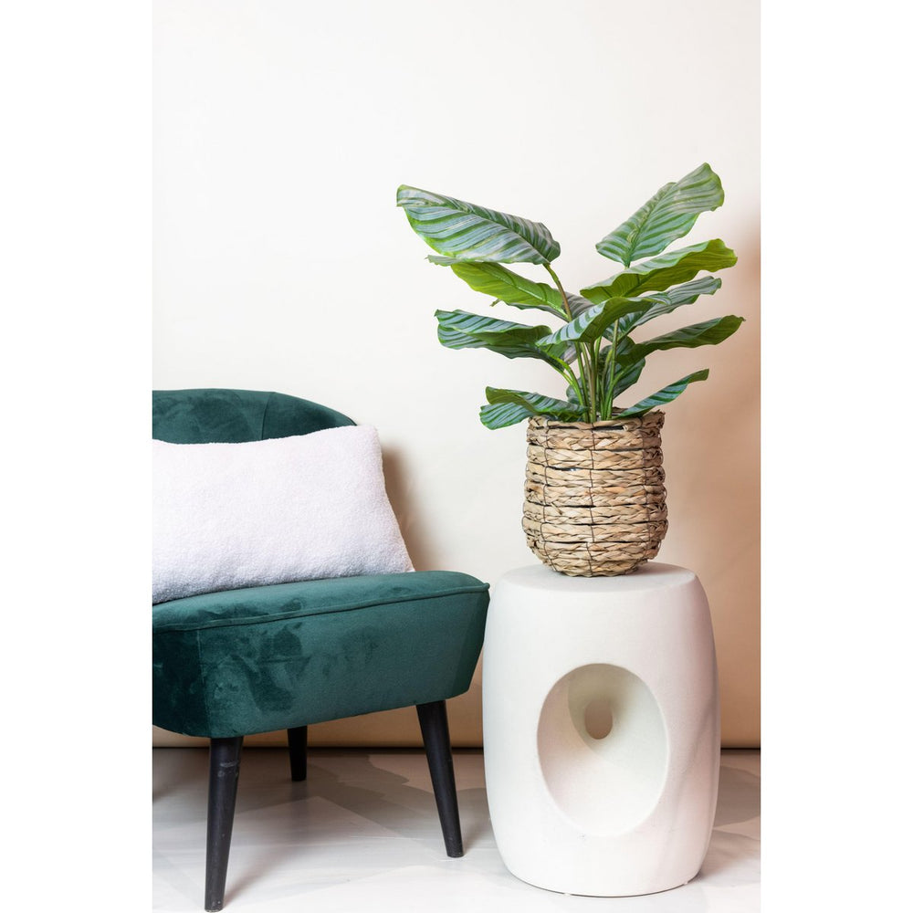 Kunstplant - Calathea Orbifolia - Schaduwplant - 60 cm