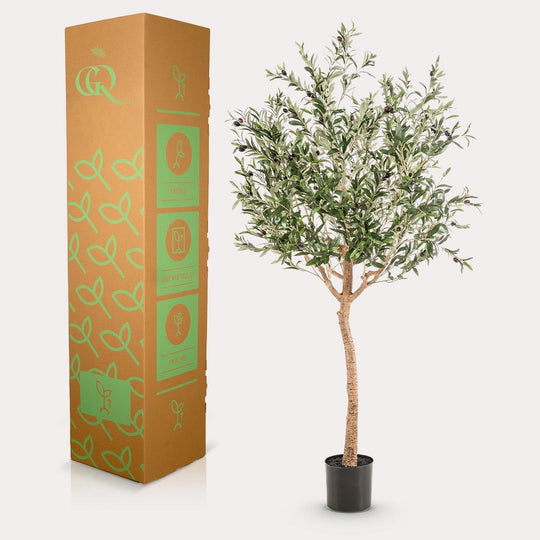 Kunst Olijfboom -  Olea europaea - Olijfboom - 180 cm