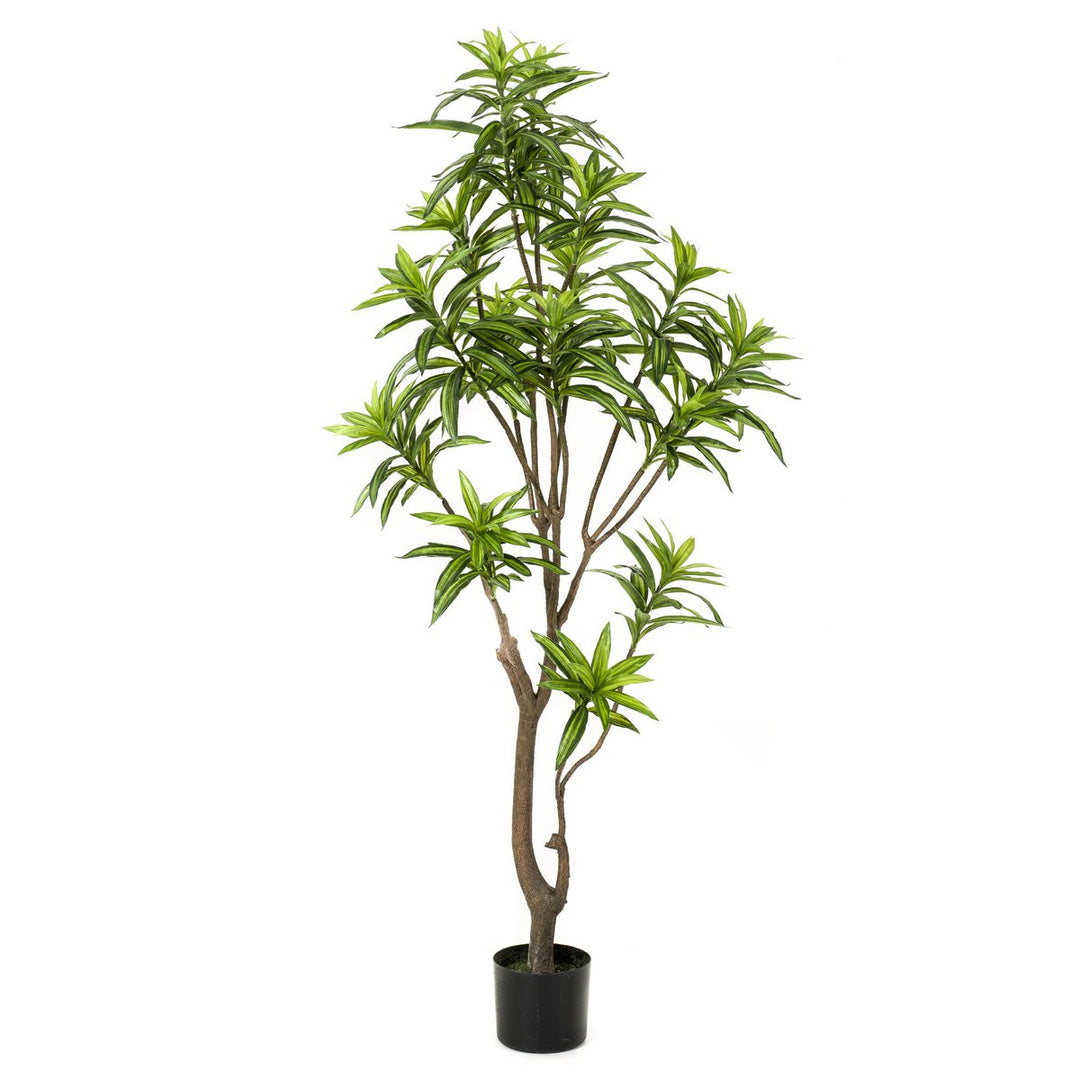 Kunstplant - Dracaena - Drakenboom - 155 cm