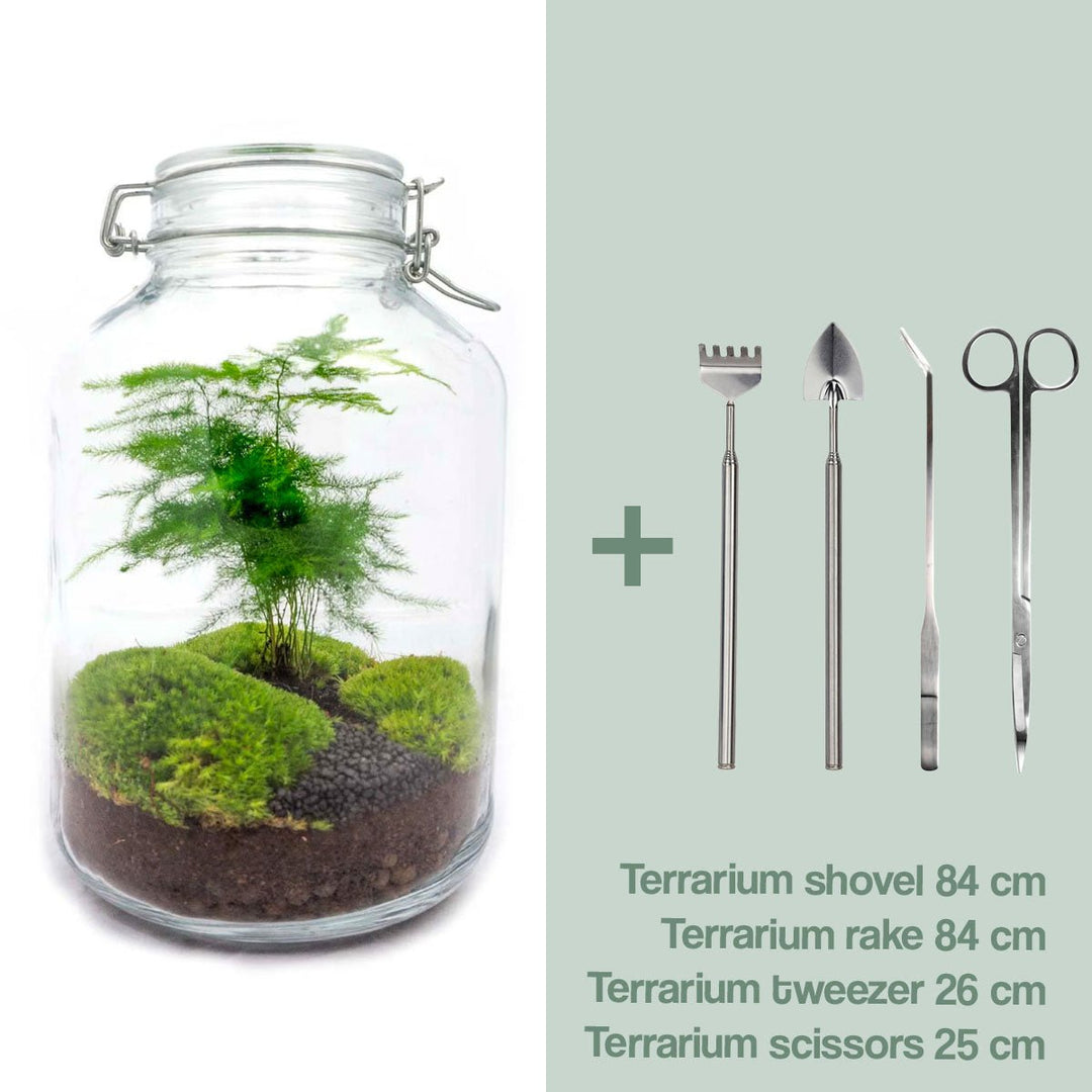 Pot Terrarium Kit - Asperges - Flessentuin - ↑ 28 cm