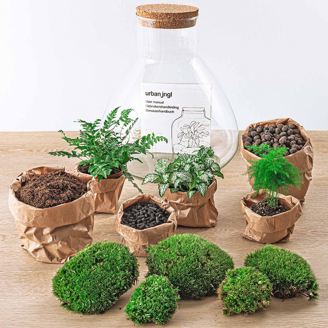 Terrarium bouwpakket - Sam XL - Bottle Garden - ↑ 35 cm