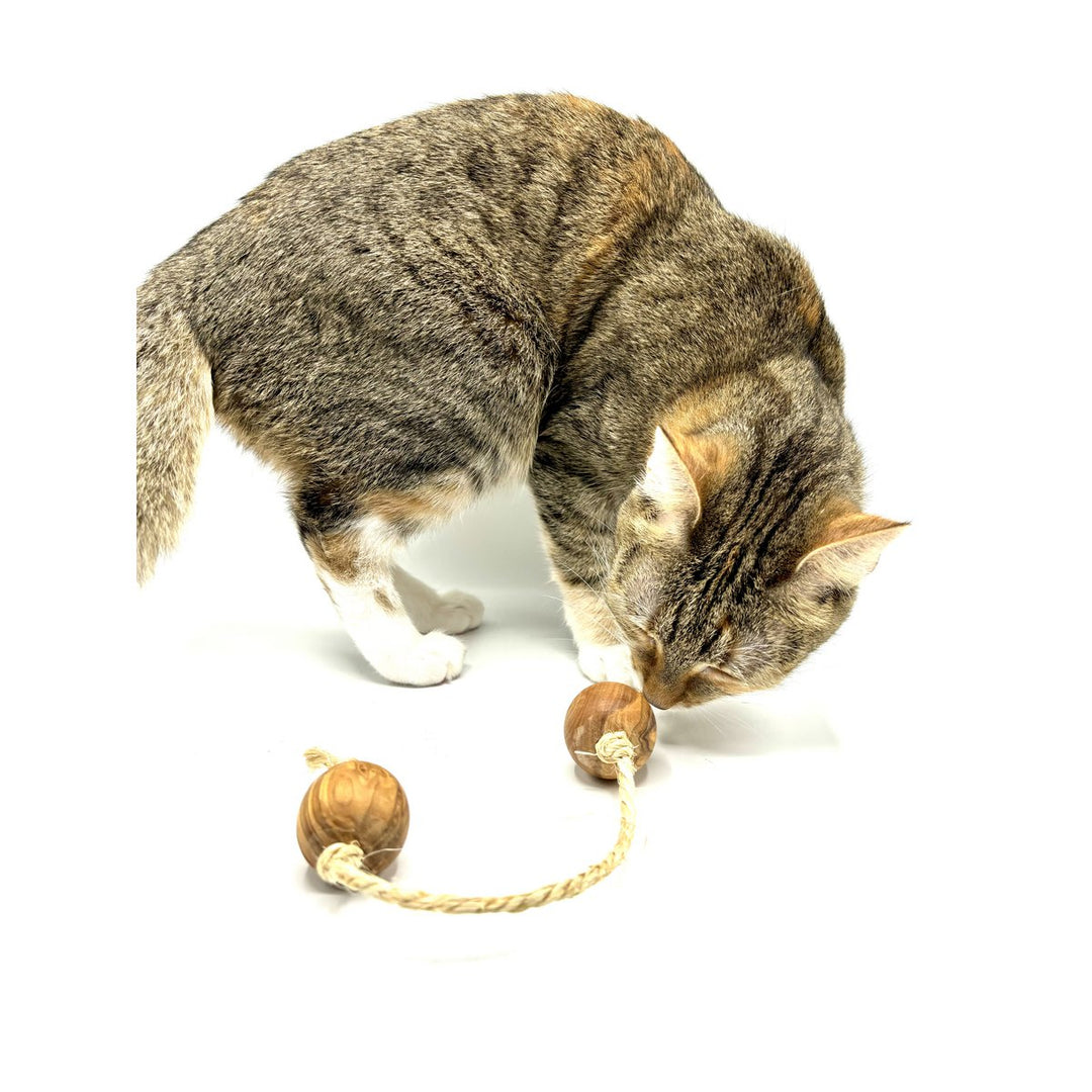 Speelballen van olijfhout met sisal voor kleine honden of katten