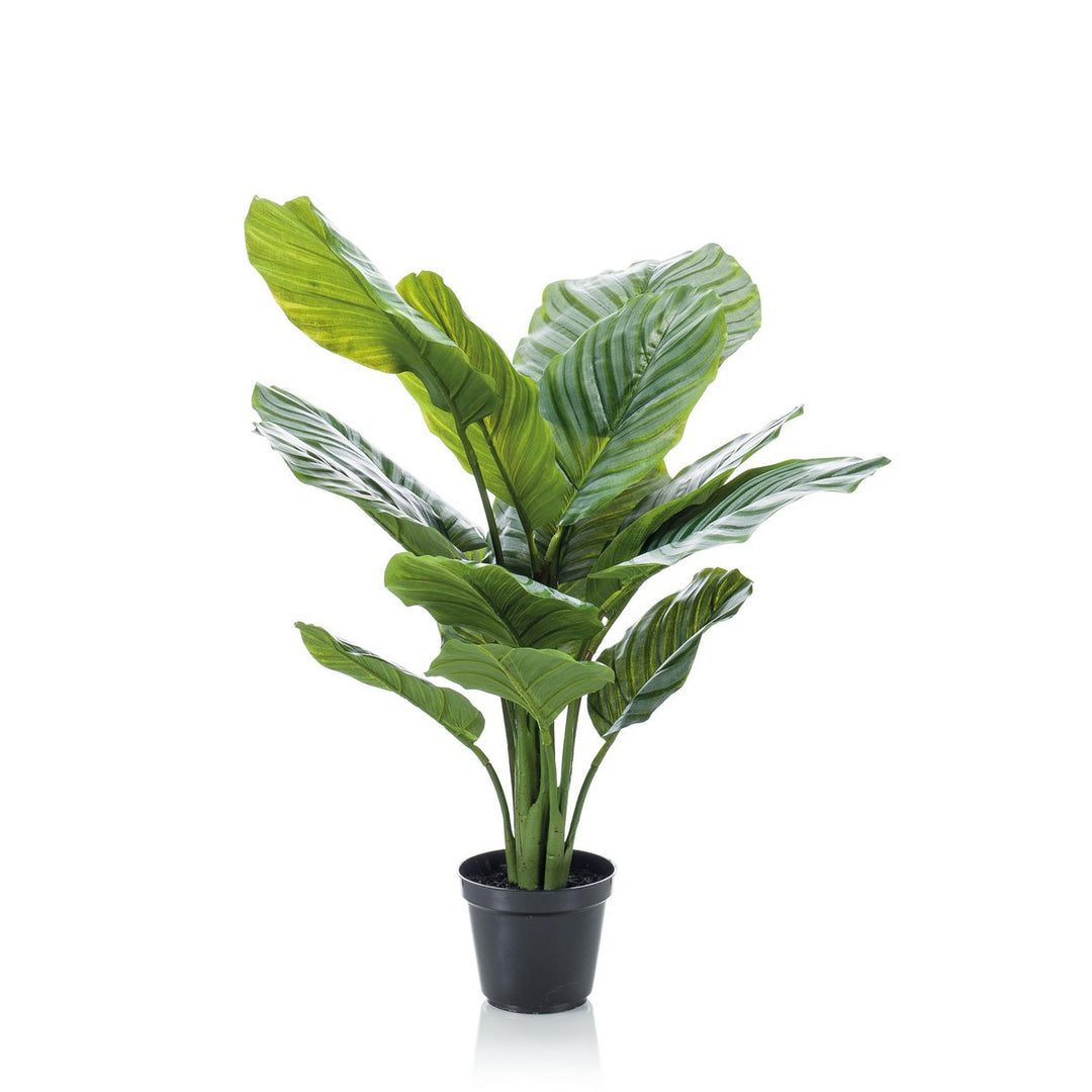 Kunstplant - Calathea Orbifolia - Schaduwplant - 60 cm