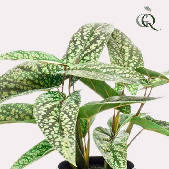 Kunstplant - Calathea Dots - Schaduwplant - 38 cm