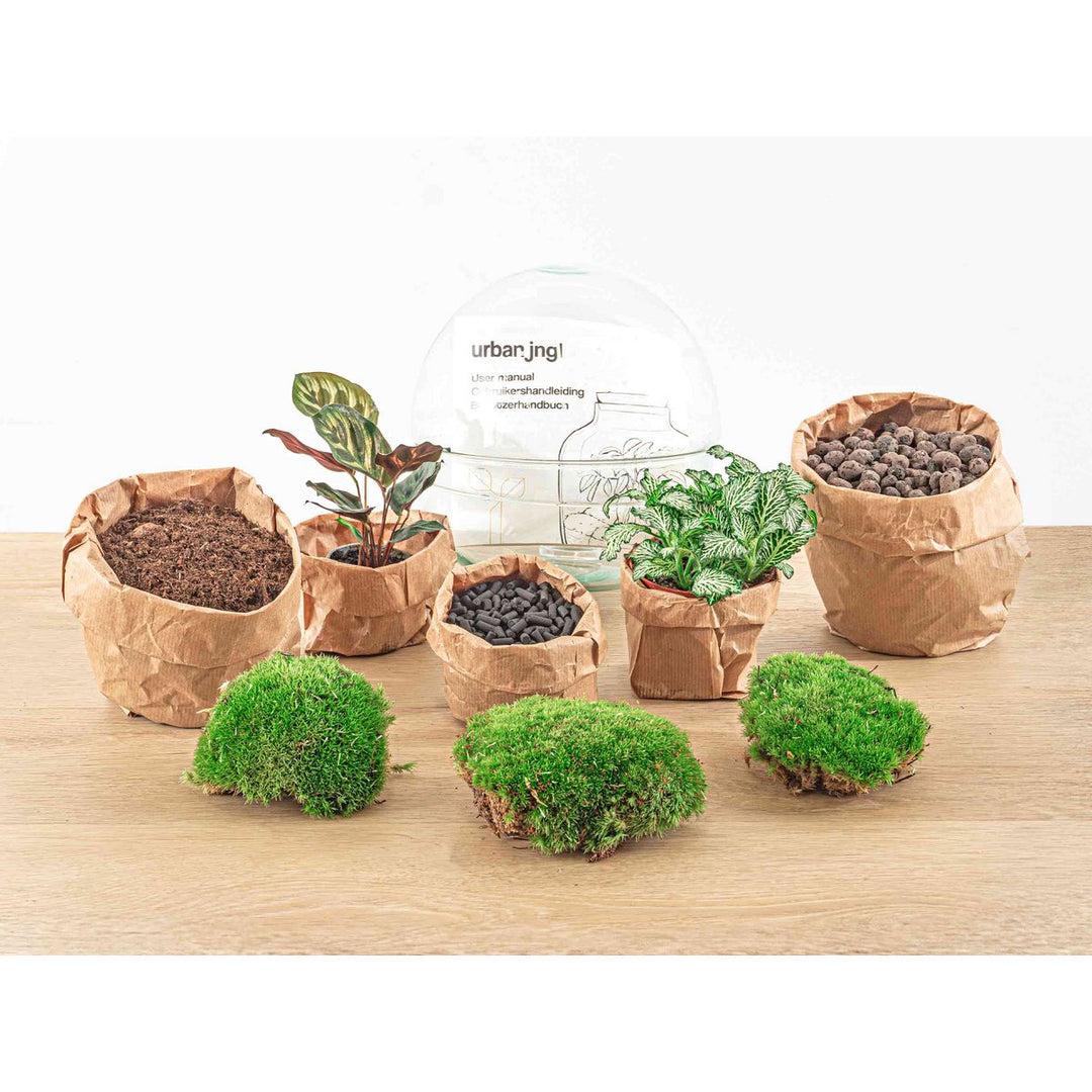 Terrarium DIY Kit - Koepel - Flessentuin - ↑ 20 cm