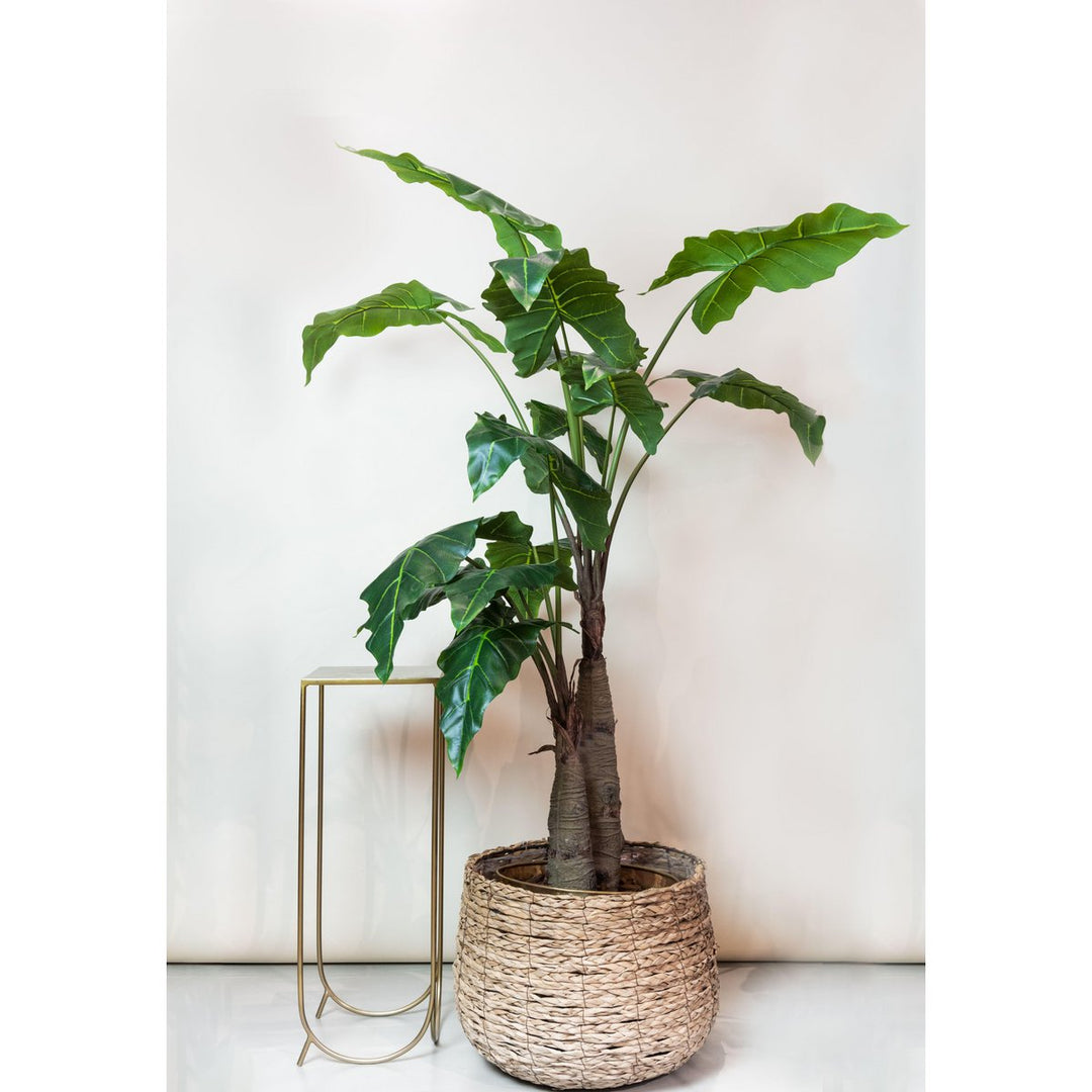 Kunstplant - Alocasia - Olifantsoor - 180 cm