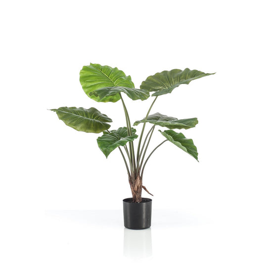 Kunstplant - Alocasia - Olifantsoor - 70 cm