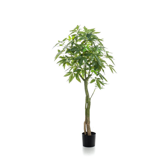 Kunstplant - Pachira Aquatica - Geldboom - 150 cm